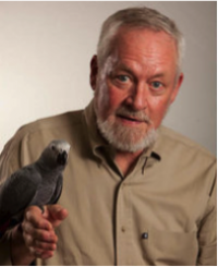 Stephen R. Anderson